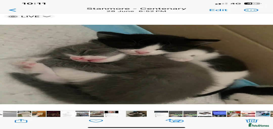 Gallery Image {{count}}