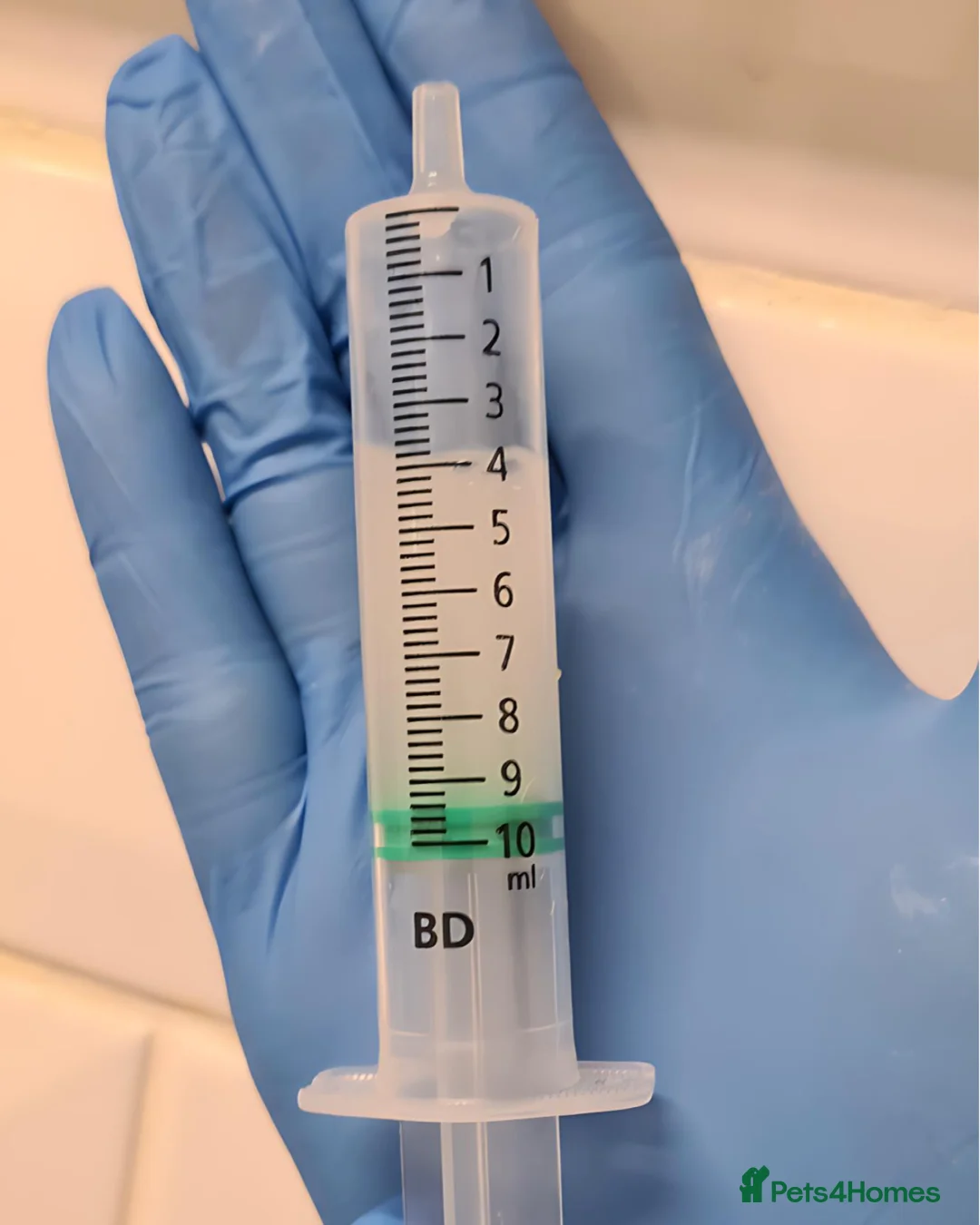 French Bulldog dogs for stud: 🐾⭐️New Shade Rojo tan RFG 0, 6 panel clear⭐️🐾 in Birmingham - Advert 10