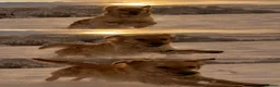 Golden Retriever dogs for sale: FULLY VACCINATED KC REG GOLDEN RETRIEVERS - Advert 2