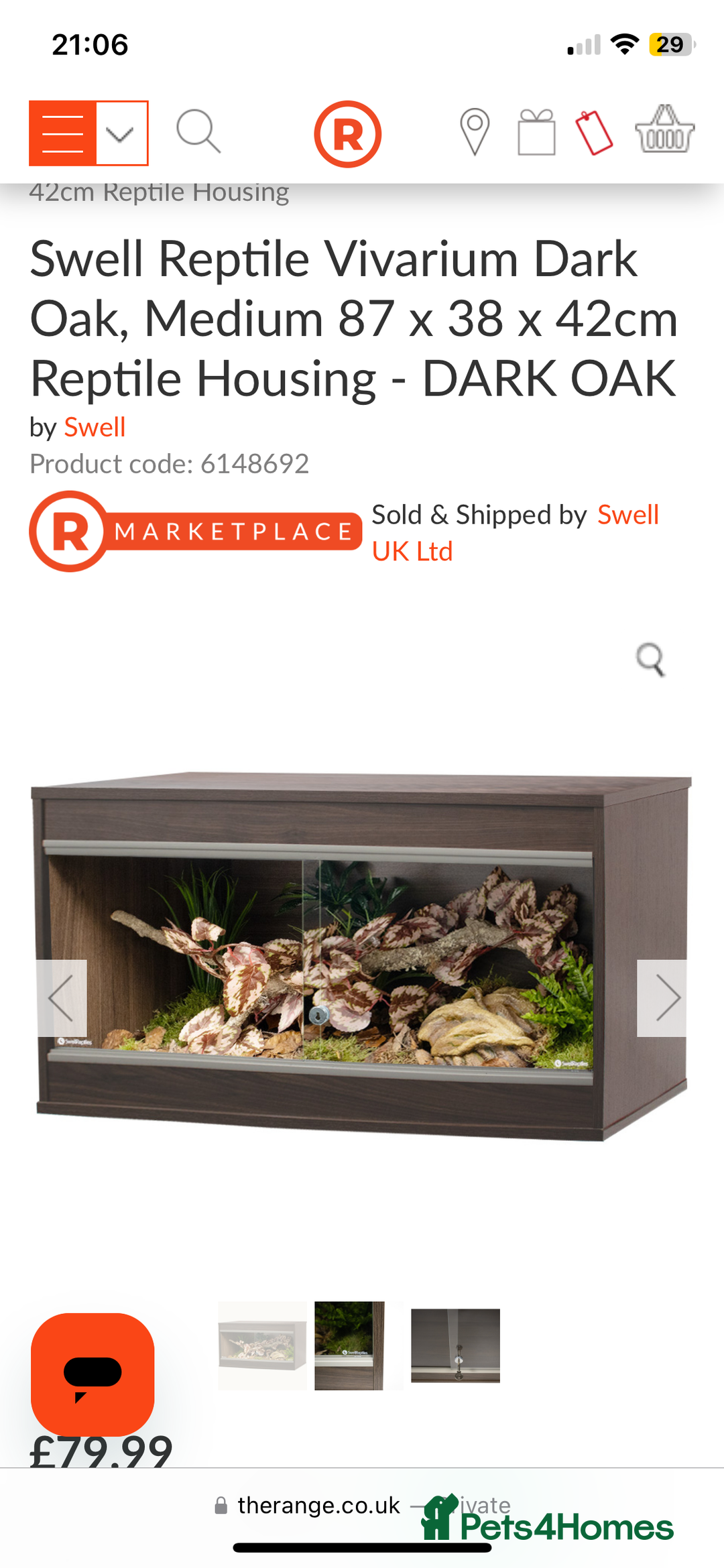 Leopard Gecko reptiles for sale: Leopard gecko for rehome  - Advert 5