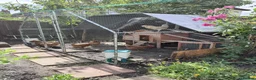 Hens poultry for sale: Complete Chicken Setup: 6 Laying Hens, 1 Rooster - Advert 2