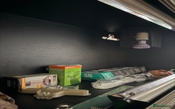 Mixed Breed reptiles for sale: Medium vivexotic vivarium & equipment. - Image 6