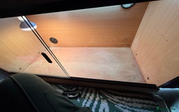 Tortoise reptiles for sale: Male Horsefield tortoise  - Image 6