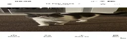 Exotic cats for sale: Exotic male in Halifax - Advert 1