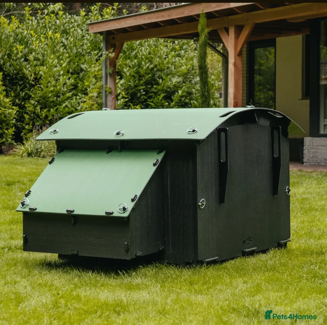 Mixed Breed poultry for sale: Chicken Coop House Large - Recycled - 8/15 Hens - Advert 3