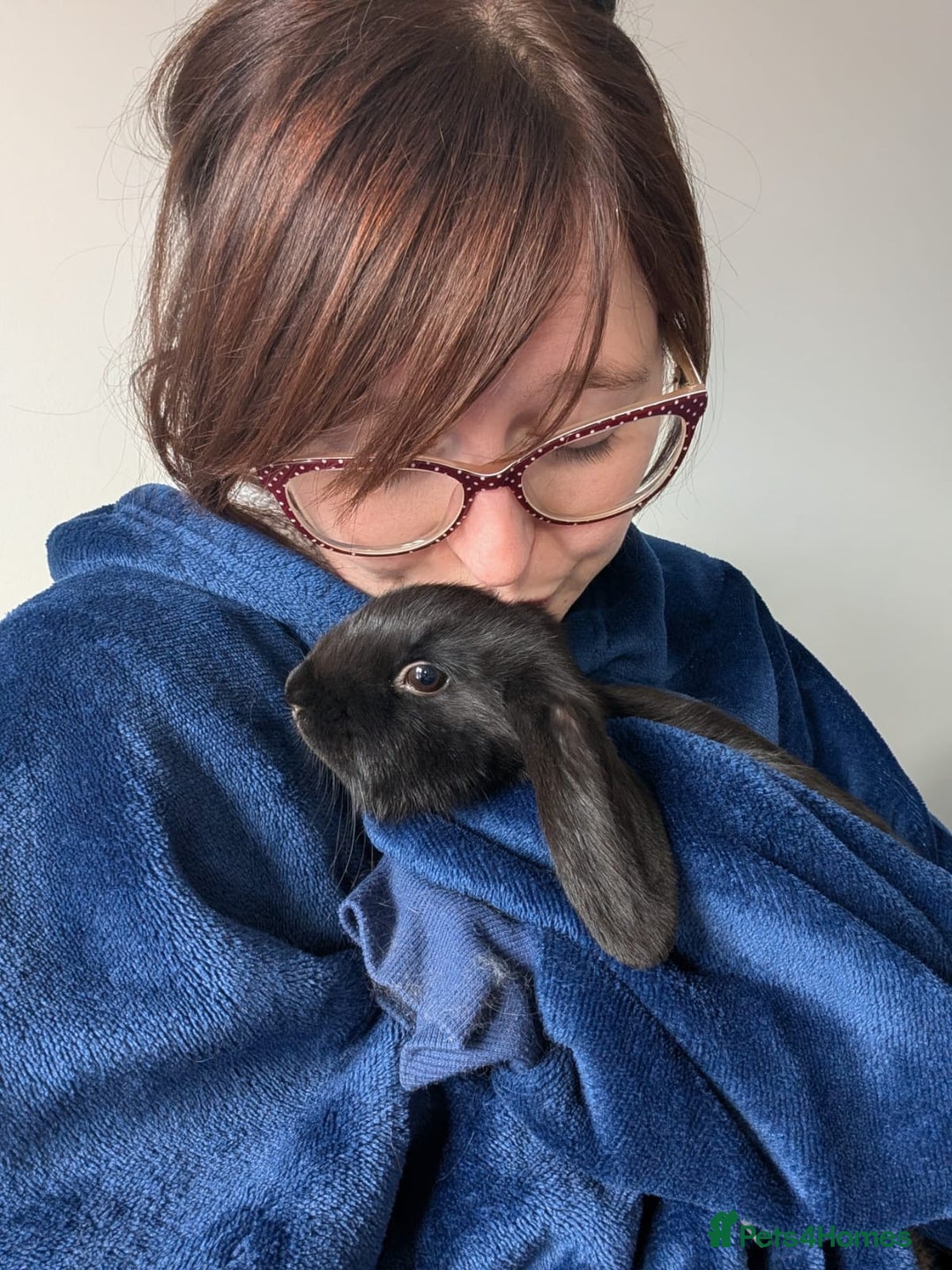 Mixed Breed rabbits for sale: 2x Mini Lop Cross Boys - Advert 4
