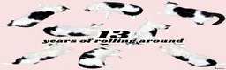 Domestic Shorthair cats for sale: Mouse - looking for her retirement home - Advert 2