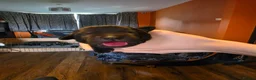 Cane Corso dogs for sale: Cane corso - Advert 9