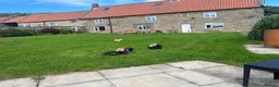 Cocker Spaniel dogs for sale: Cocker spaniels  - Advert 16