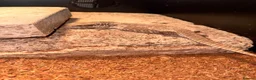 Mixed Breed reptiles for sale: Snakes and lizards for sale  - Advert 4