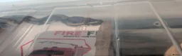 Python Snake reptiles for sale: Female Ball Python 6 months  in Coventry - Advert 5