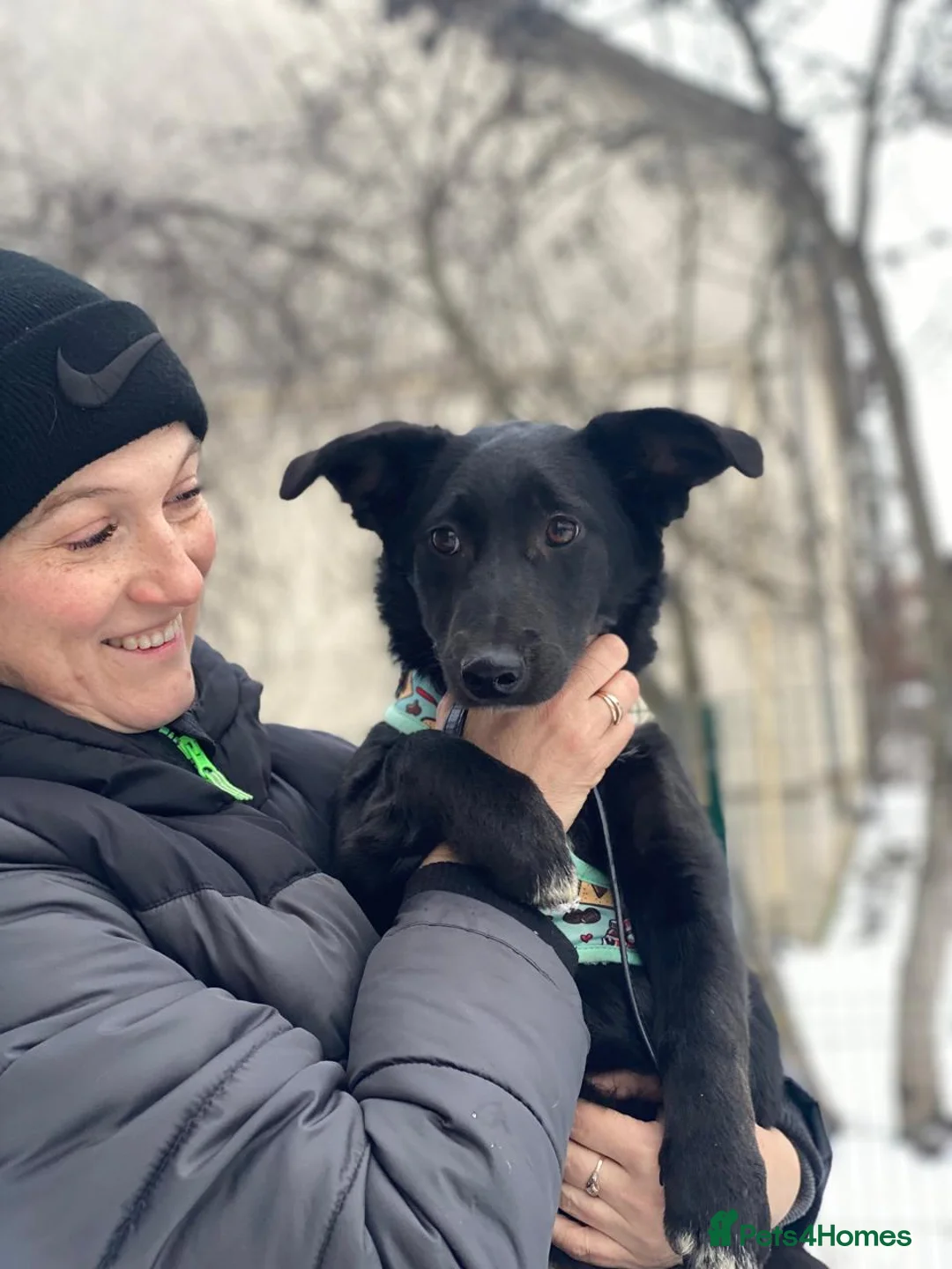 Mixed Breed dogs for adoption: ❤️LADY&DORI❤️ Small Gentle and Social Sisters - Advert 10