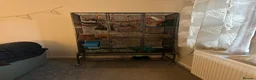 Sugar Glider rodents for sale: X2 female sugar gliders and cages for sale in Faringdon - Advert 7