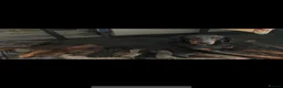 Dobermann dogs for sale: Stunning Dobermann Puppies  - Advert 16