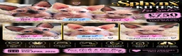 Sphynx cats for sale: 3 x sphynx kittens for sale - Advert 1