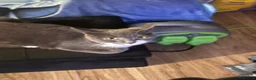 Russian Blue cats for sale: Kitten  - Advert 2
