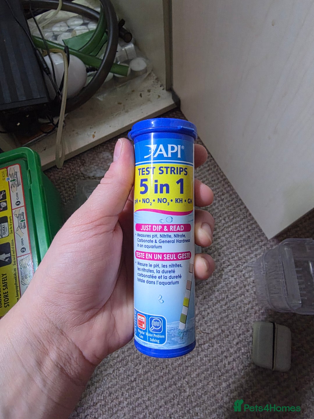 Shrimps fish for sale: Fishtank+accesories in Huntingdon - Advert 9