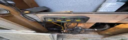 Koi Carp fish for sale: Fish pond plus fish  in Swadlincote - Advert 6