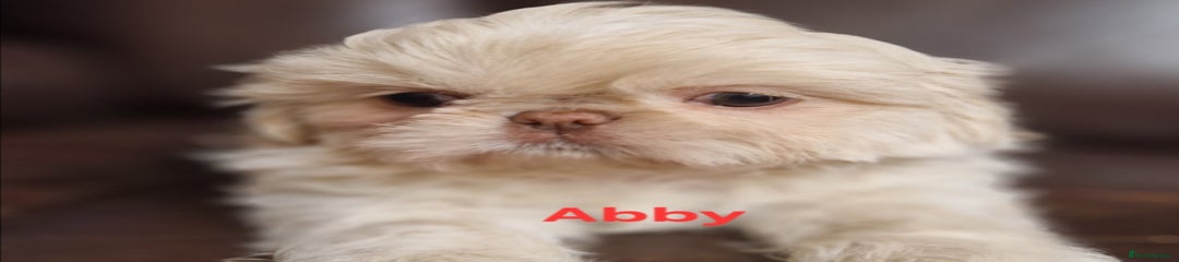 Abby
