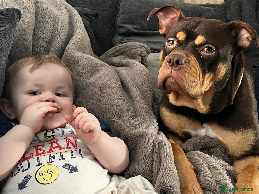 Gallery Image {{count}}