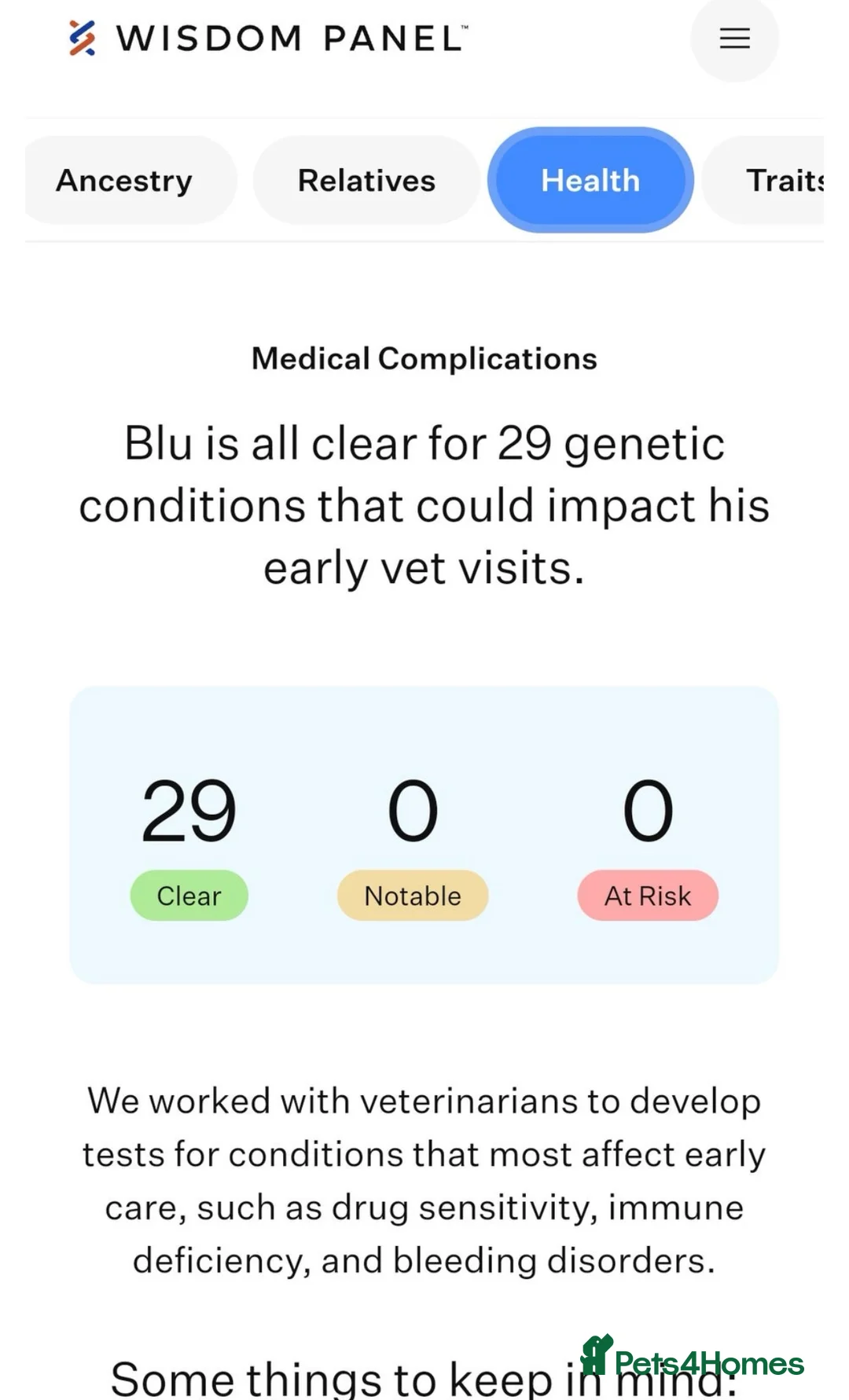 Border Collie dogs for sale: ONLY ONE BOY REMAINING (READY TO GO TUE) - Advert 12