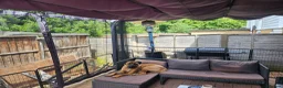 Mixed Breed dogs for sale: Staffy cross cane Corso  - Advert 3