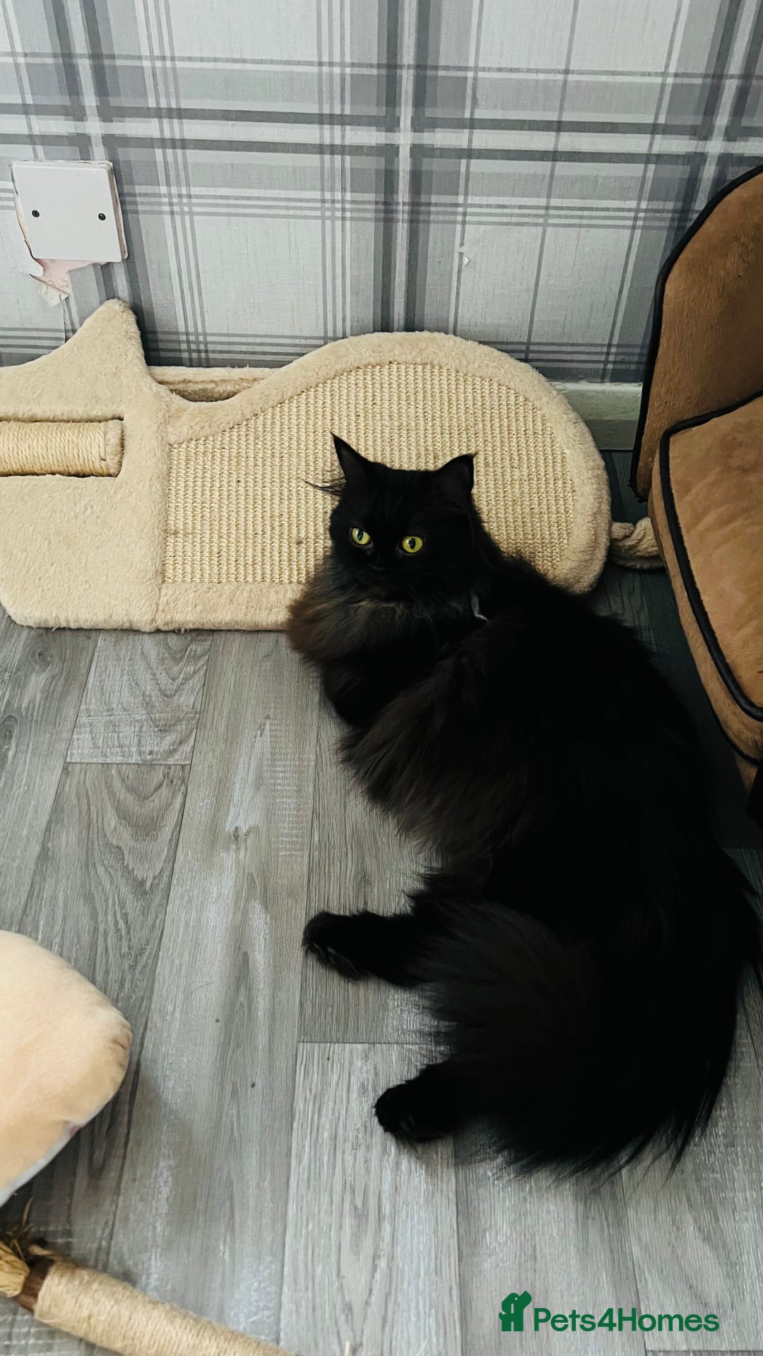 Gallery Image {{count}}