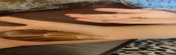 Snails invertebrates for sale: Giant african land snail babies  in Nuneaton - Advert 3