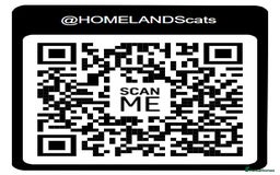 Ragdoll cats for sale: 🐾Stunning Ragdoll Kittens🧬DNA🏆ChampParents🐾 - Image 18
