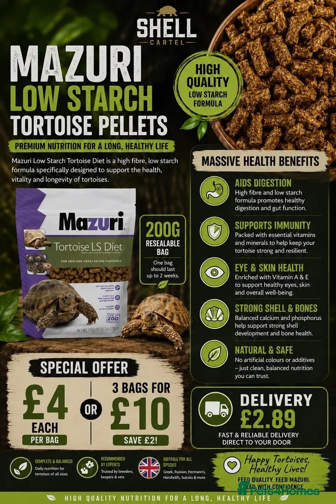 Tortoise reptiles for sale: BABY SULCATAS & SET UPS! - Advert 15