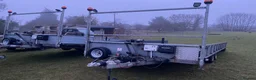 Mixed Breed livestock for sale: Tipping flat bed with sides - Advert 13