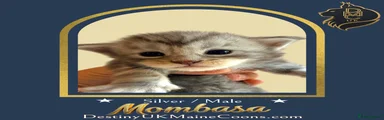 Mombasa
