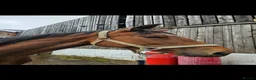 English Thoroughbred horses for sale: Beautiful blank canvas  in Frodsham - Advert 2