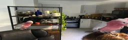 Cockatoo birds for sale: Galah cockatoo pair-£2500 - Advert 1