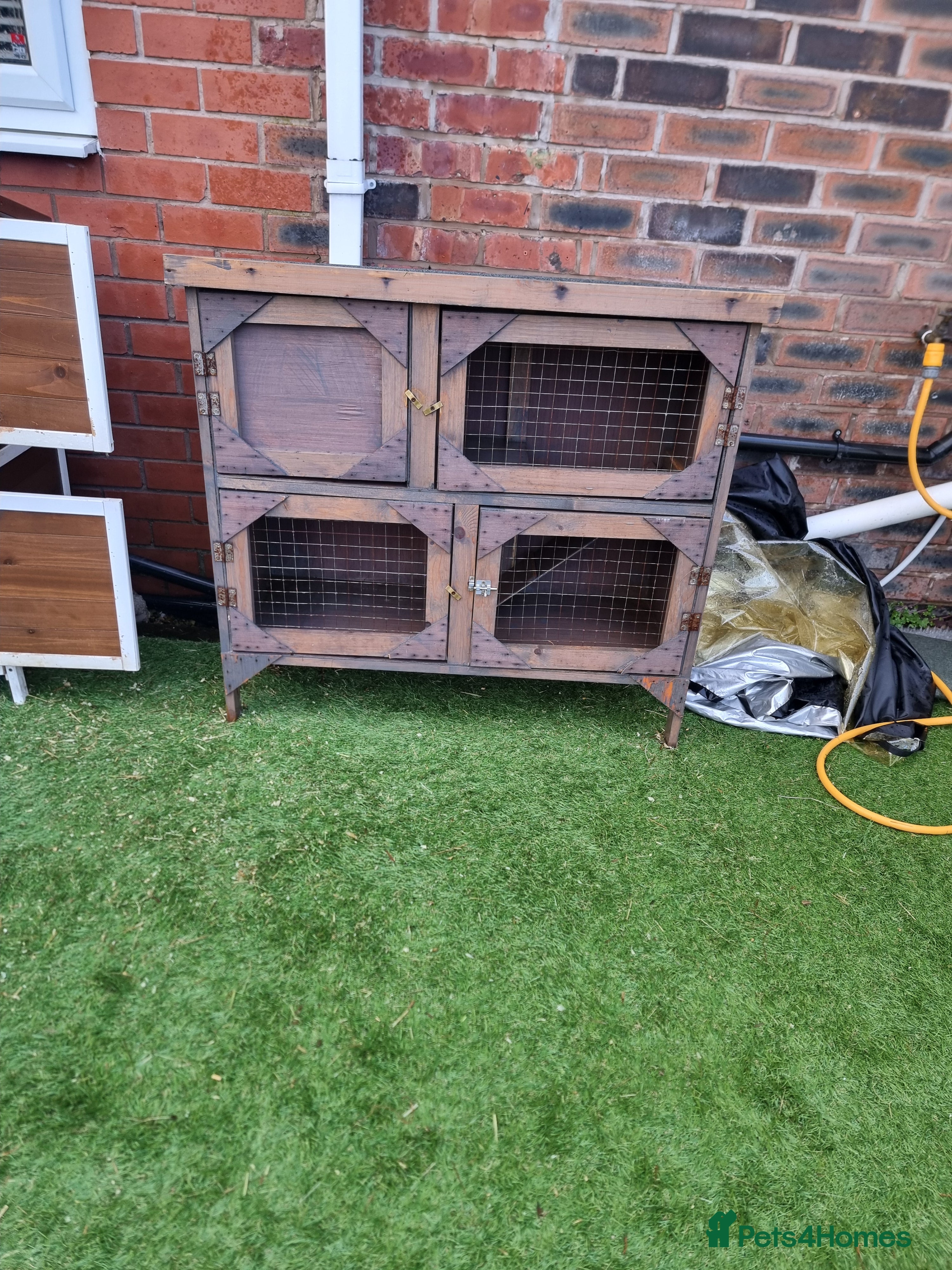 Guinea Pig rodents 2 tier hutch - Advert 17