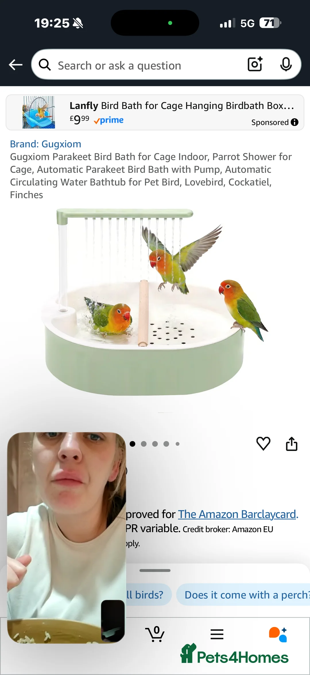 Conures birds for sale: Conure  in Newcastle upon Tyne - Advert 3