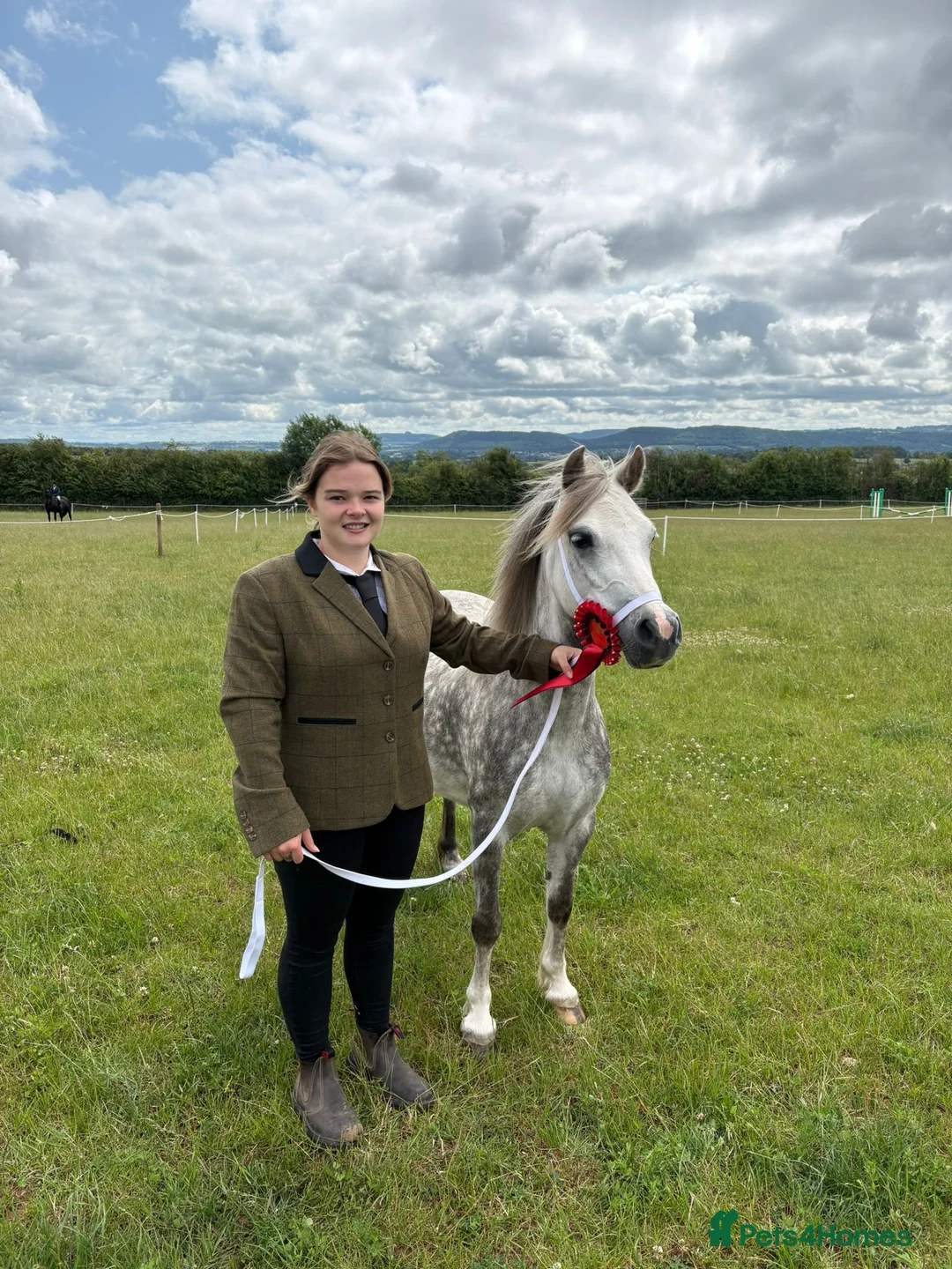 Welsh Section A horses for sale: Rising 6yo dapple grey Welsh A mare  in Hereford - Advert 7