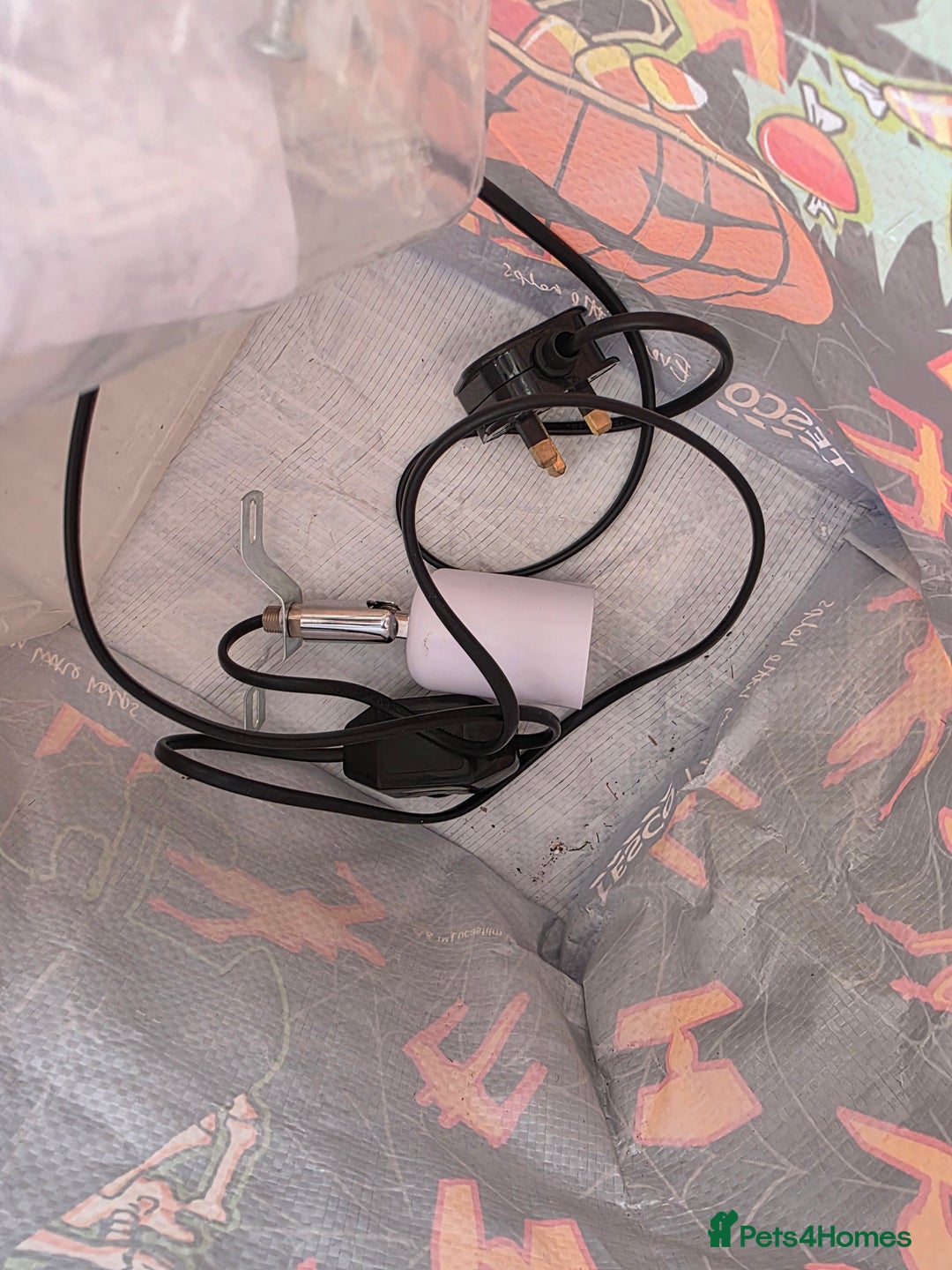 Snake reptiles for sale: Hognose snake  - Advert 8