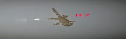 Gecko reptiles for sale: Crested Geckos  - Advert 6