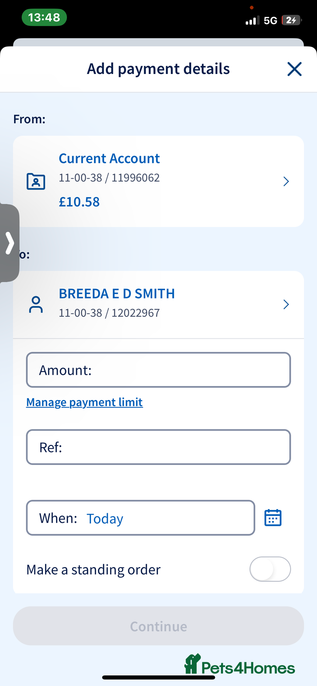 Mixed Breed dogs for sale: 4 pups - Advert 7