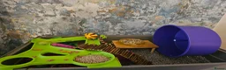 Rat rodents for sale: 2 lovely female rats with cage and accessories  - Advert 10
