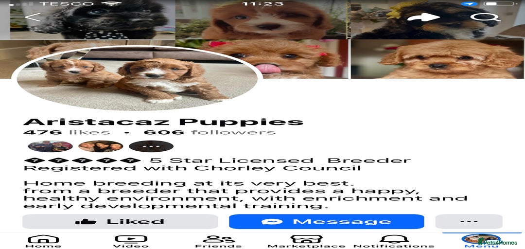 Gallery Image {{count}}