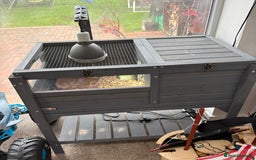 Tortoise reptiles for sale: Herman tortoise  - Advert 2