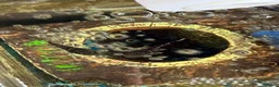 Plecos fish for sale: 4 baby pleco in Preston - Advert 3