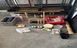 Parrots birds for sale: Large Parrot Cage - Image 3