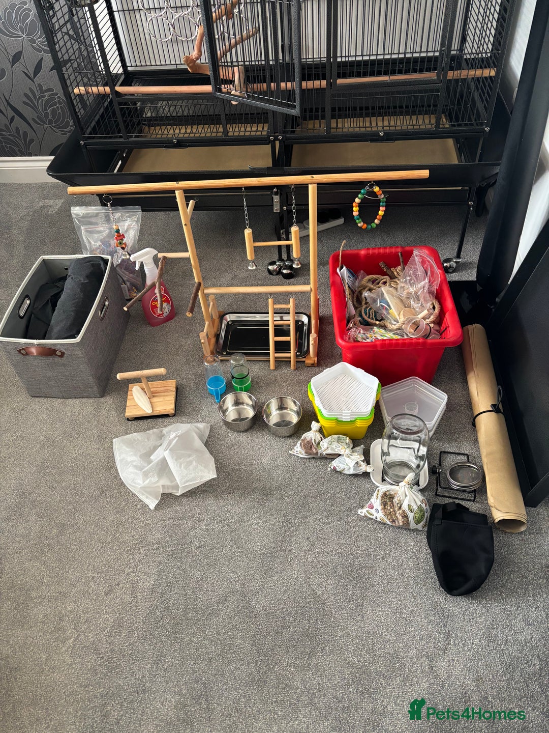 Parrots birds for sale: Large Parrot Cage - Image 3