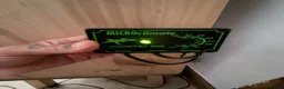 Python Snake reptiles for sale: Banana Royal Python will full set up - Advert 3