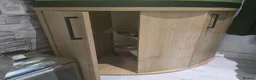 Turtle reptiles for sale: Mississipi Map Turtle - Advert 3