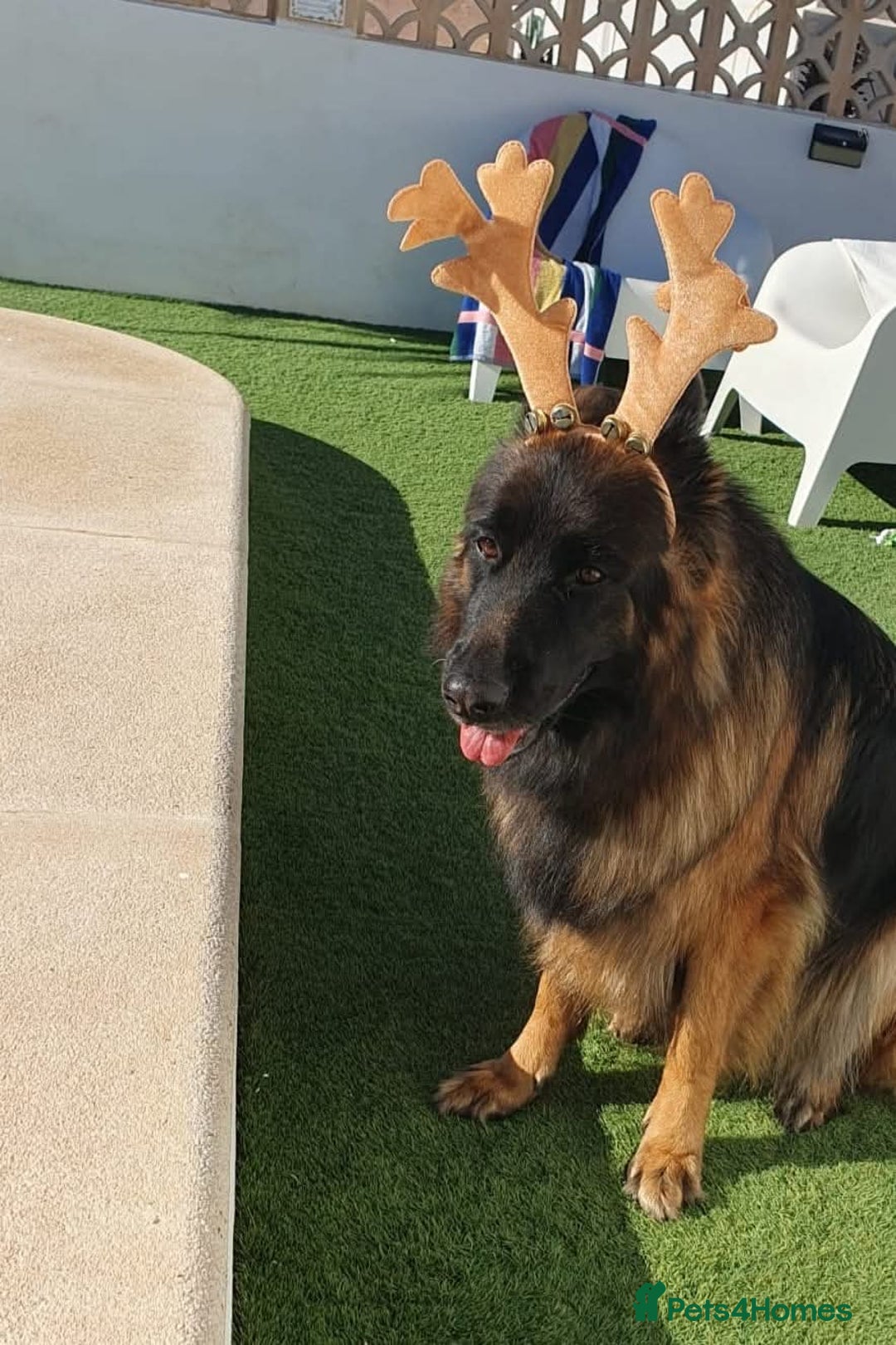 Gallery Image {{count}}