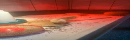 Chickens poultry for sale: Chicks for sale mixed breed  in Hounslow - Advert 4